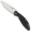 Spyderco Astute Folder Knife, Satin Blade -Knife Shop C252GP Open 30376.1579289657